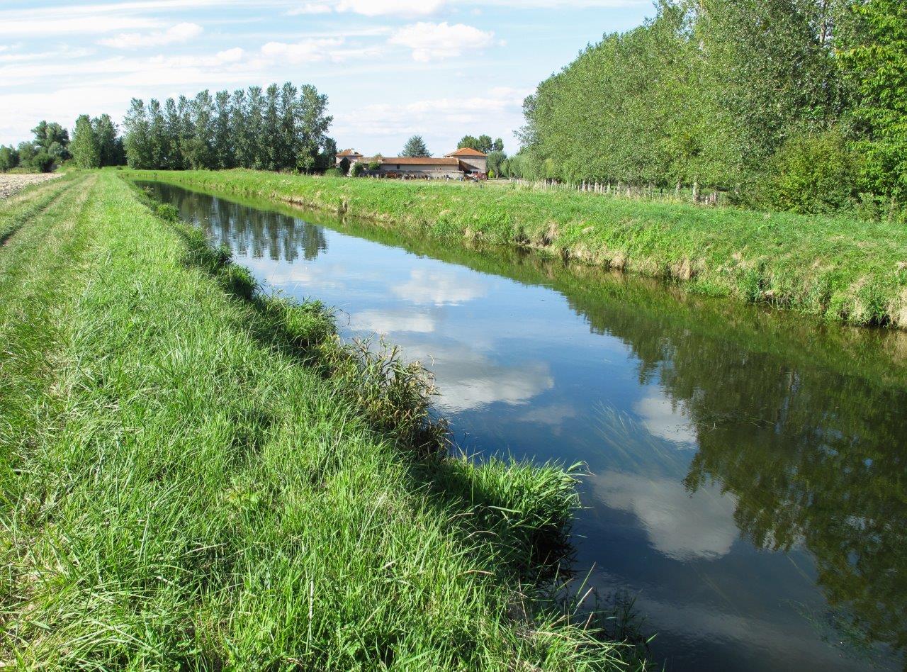 Le Canal du Forez Vers Sury